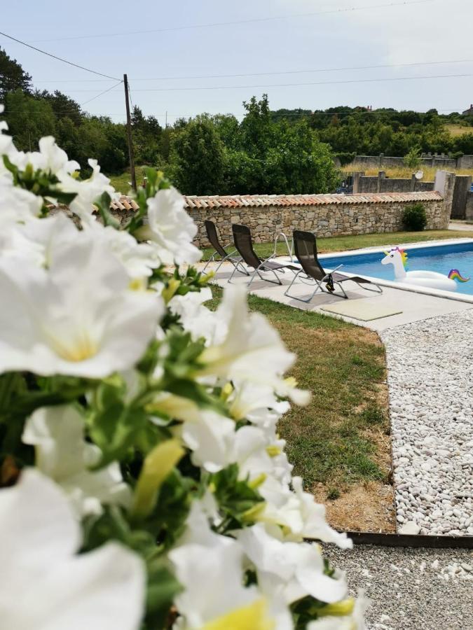 Villa Accordia Labin  Εξωτερικό φωτογραφία